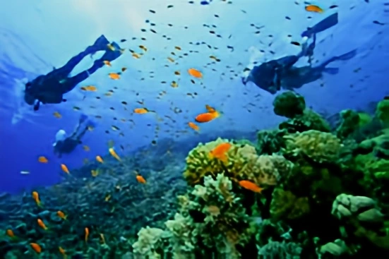Mombasa Marine National Park